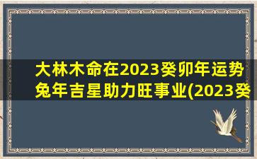 大林木命在2023癸卯年运势 兔年吉星助力旺事业(2023癸卯年大林木吉星助力，事业旺升！)